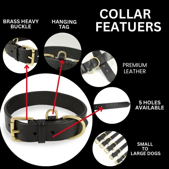 Genuine Leather Dog Collar for Small to Large Dogs - Picture 8 of 9